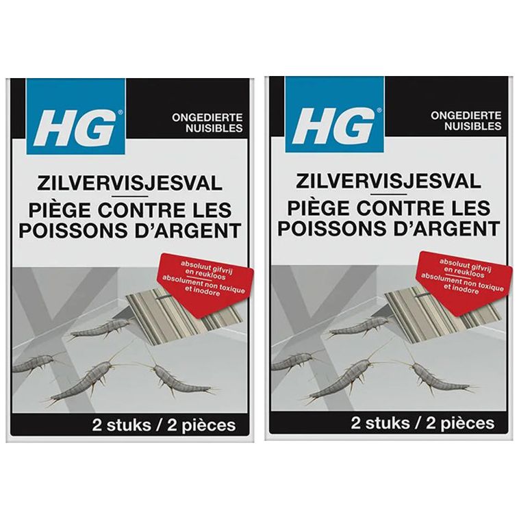 hgx-zilvervisjesval-2-stuks-afbeelding