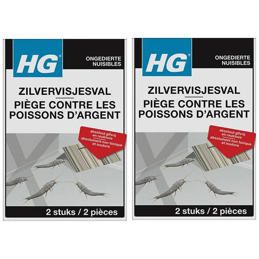 hgx-zilvervisjesval-2-stuks-afbeelding